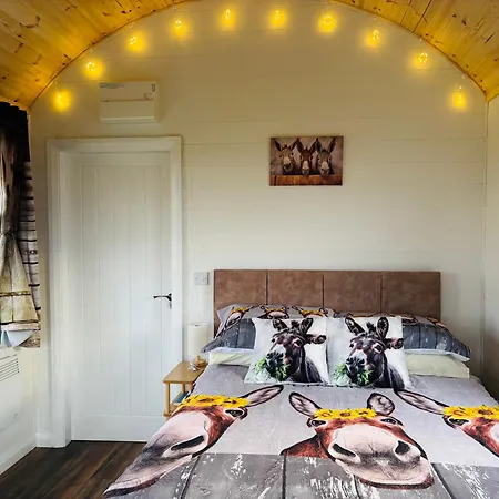아파트 The Dozy Donkey Farm Shepherd Hut *